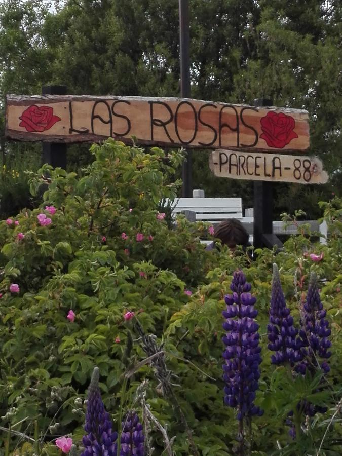 Cabanas Campestres Las Rosas 푼타아레나스 외부 사진