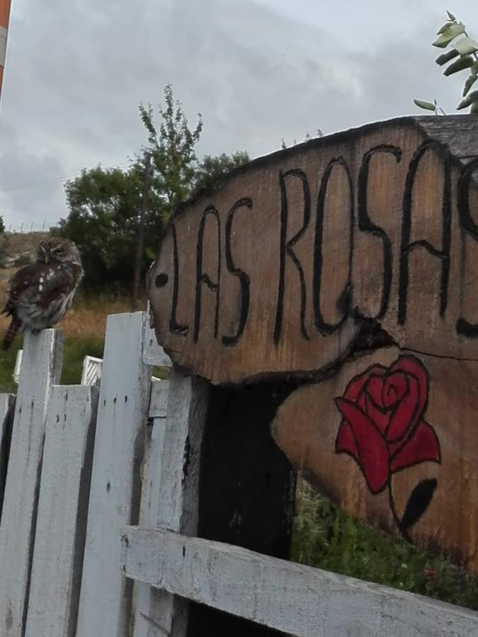 Cabanas Campestres Las Rosas 푼타아레나스 외부 사진