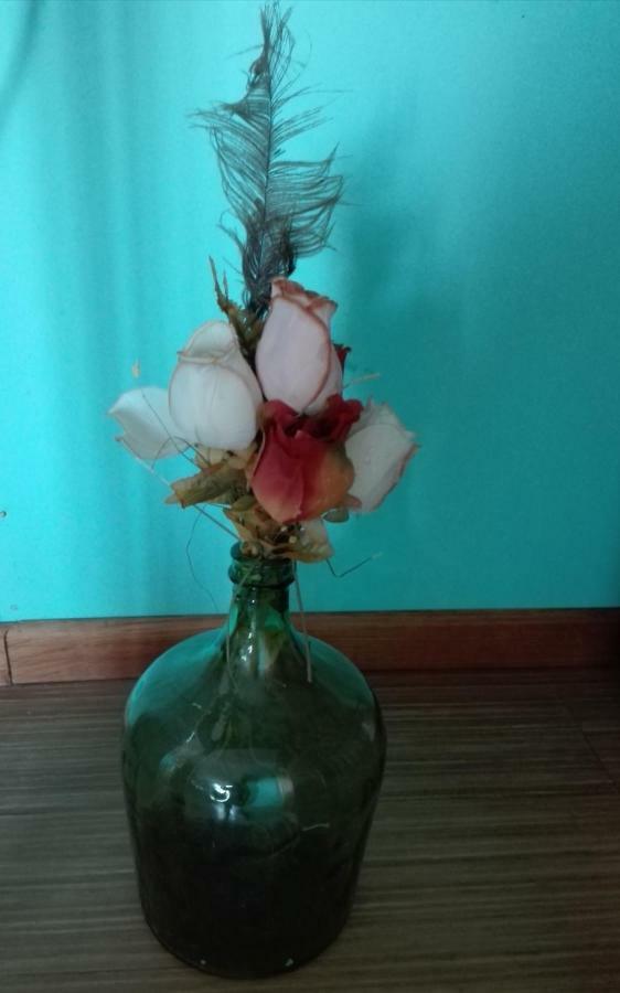 Cabanas Campestres Las Rosas 푼타아레나스 외부 사진